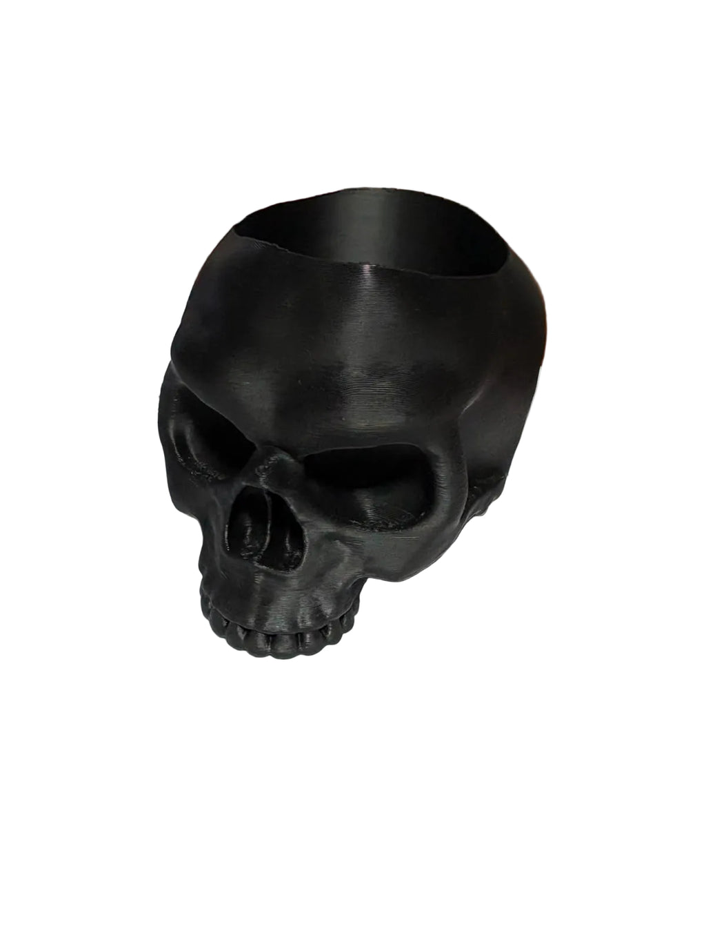 Calavera Porta Lápices