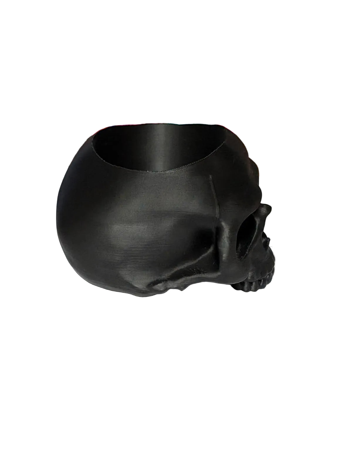 Calavera Porta Lápices