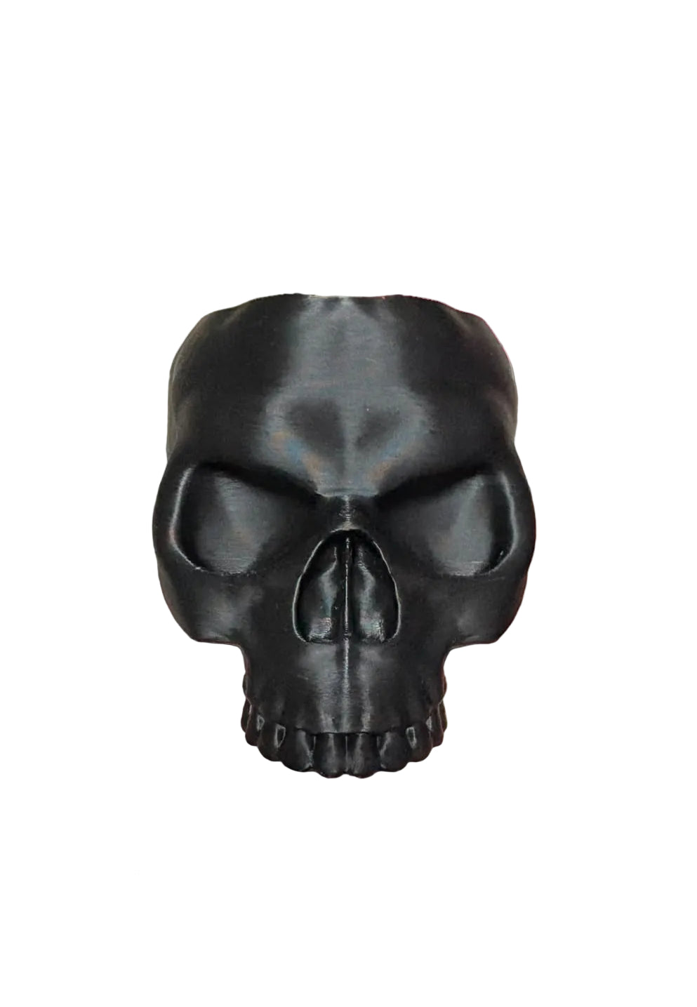Calavera Porta Lápices